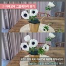 오래꽃센터 중앙일보