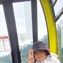 베트남 여행기 9일차 : 썬월드 바나힐스, 인디에나 존스 영화 속 왕궁 1편 이미지