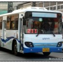 금지면 금평마을 이미지