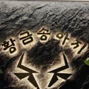 황금송아지 이미지
