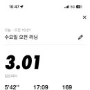 골든타이