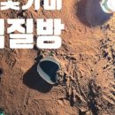 첨성대소나무불가마찜질방