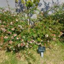 꾸미시개 이미지