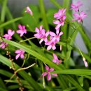 청사포정거장 이미지