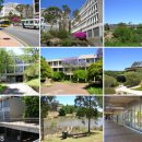 아델레이드 이미지