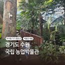 금복농장 | 수원 국립농업박물관 경기도 아이랑 가기좋은곳 주차, 먹거리, 체험활동