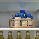 도원펜션 | [숙박후기] 경주 오릉도원 한옥 독채 스테이 펜션 방문 후기 경주 감성 숙소