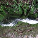 검룡소모뉴멘트 이미지