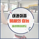 태권이즘 태권도장 이미지