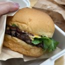 천안 예능인 노동조합 | 아무도 안물어본 나의 10월-1편💥💭