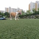 엣찌 이미지