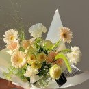 유수플레르
