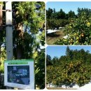 강창민농장 이미지