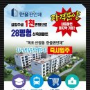 편안채 이미지