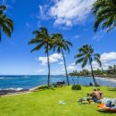 하와이 6개 섬 대상 특가 항공권 판매 이미지