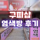 구피샵 티스토리