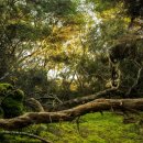 화유한의원 이미지