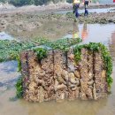 수산3리 마을회관 이미지