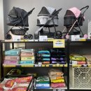 송산그린 펫 이미지