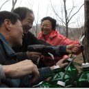 신비연구소