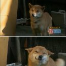 누 이미지