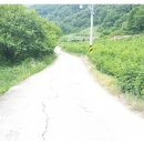 사과나무공인중개사사무소 이미지