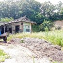 안기천로 이미지