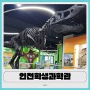 영종대로277번길 | 인천학생과학관 솔직 후기 | 영종도 아이랑 무료 갈만한 곳