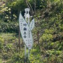 숲속의 쉼터민박 | 하동 치앙마이 감성 산 속 찻집 "하늘호수차밭쉼터"