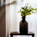 팡팡과일 이미지