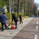 상동 393 이미지