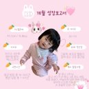 왕발고양이 | 육아육묘 10개월 아기 성장보고서 생후 301일-330일 기록