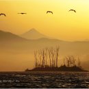 두물머리 이미지