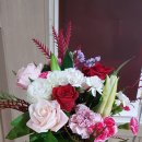 메이드빈 이미지