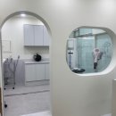 오송애견 이미지