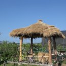 희재농장 이미지