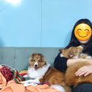 문패밀리 이미지