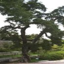 다인중학교 이미지