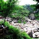 천년의 정원 이미지