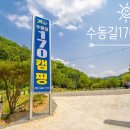 [강원도 횡성 신규캠핑장] 깊은 숲속에 자연과 함께하는 수동길170캠핑