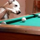 당구다방 이미지