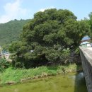 무릉리-11 이미지