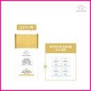 엘리펀트 이미지