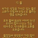 안명섭 Daum카페
