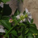 재구농장 이미지