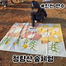 목련 어린이집 | 겨울 숲체험 인천 청량산 5세 어린이집