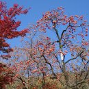 가곡쉼터 이미지