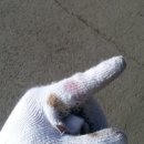 영웅셀프세차장 이미지