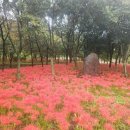 백운산자연휴양림 이미지