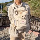 쿠테일링(KOOTAILING) | 강아지 이동가방 백팩 추천! 컴피라비올리 텐마일백 애견 앞가방